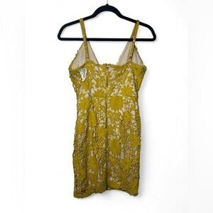 Fashion Nova Bodycon Dress